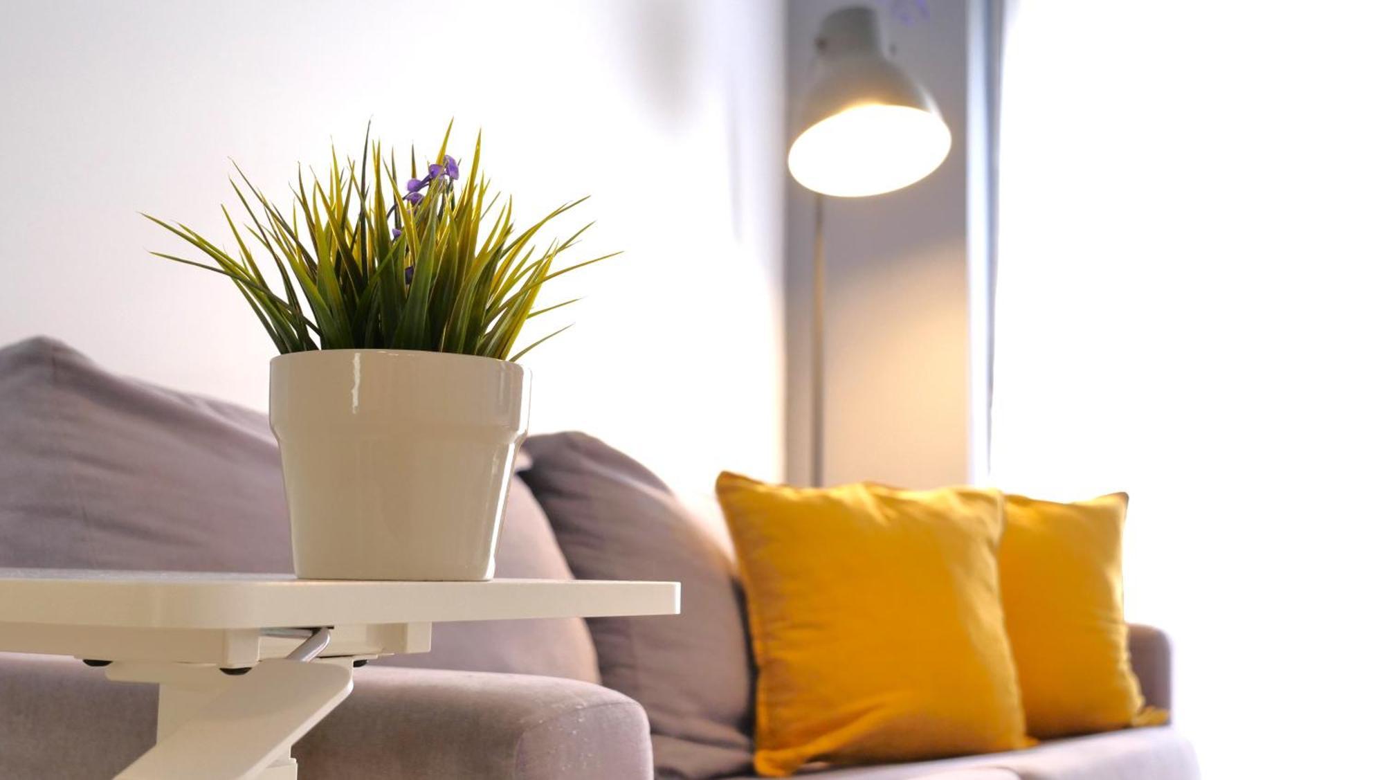 Myflats Old Corner Apartment Alicante Ngoại thất bức ảnh